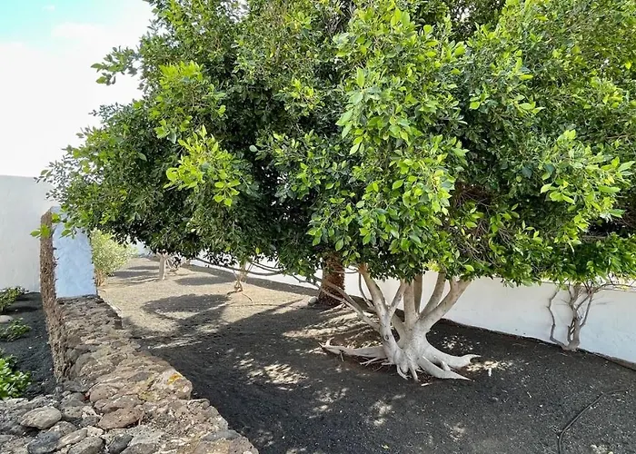 Estefania Playa Blanca (Lanzarote)