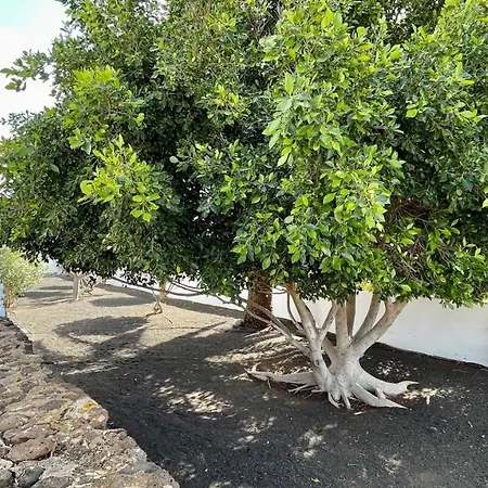 Estefania Πλάγια Μπλάνκα